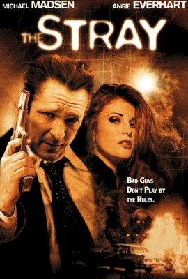 The Stray  (2000)