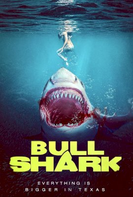 BULL SHARK  (2022)