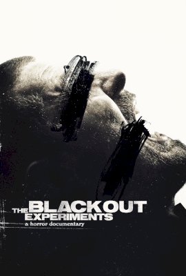 The Blackout Experiments  (2016)